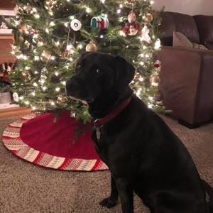 Meet your Posher, Monica